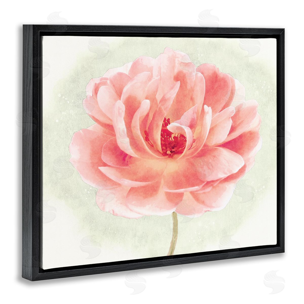 Christine Zalewski Soft Pink Peony Black Floater Frame Canvas Artside_
