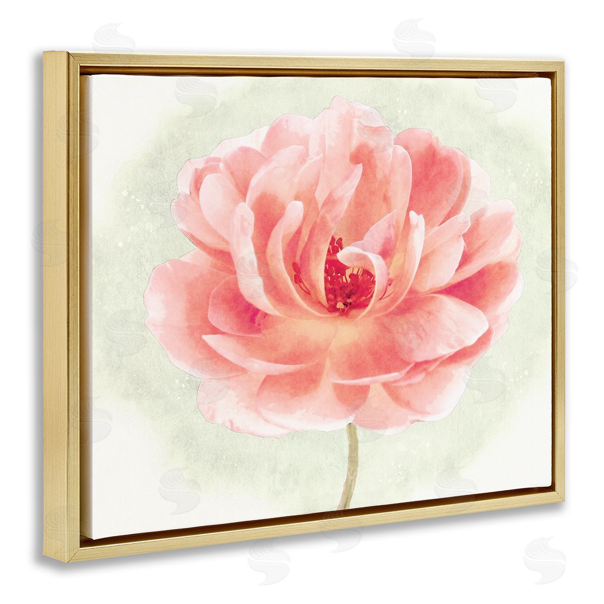 Christine Zalewski Soft Pink Peony Gold Floater Frame Canvas Artside_