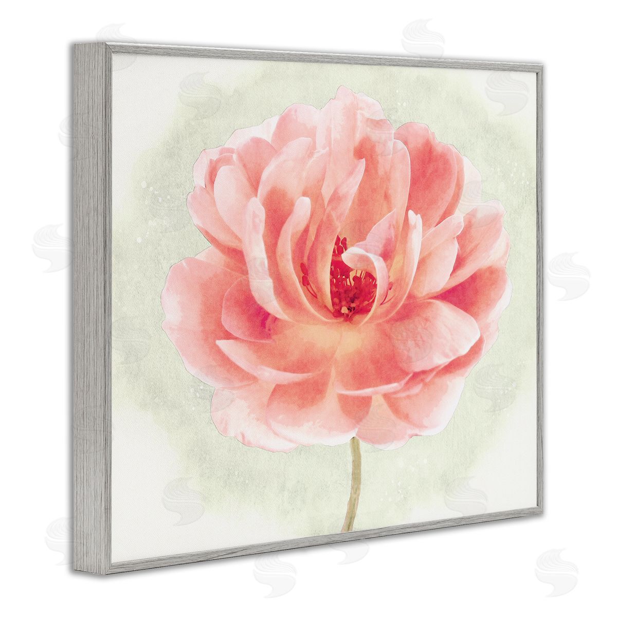 Christine Zalewski Soft Pink Peony Gray Framed Giclee Wall Artside_