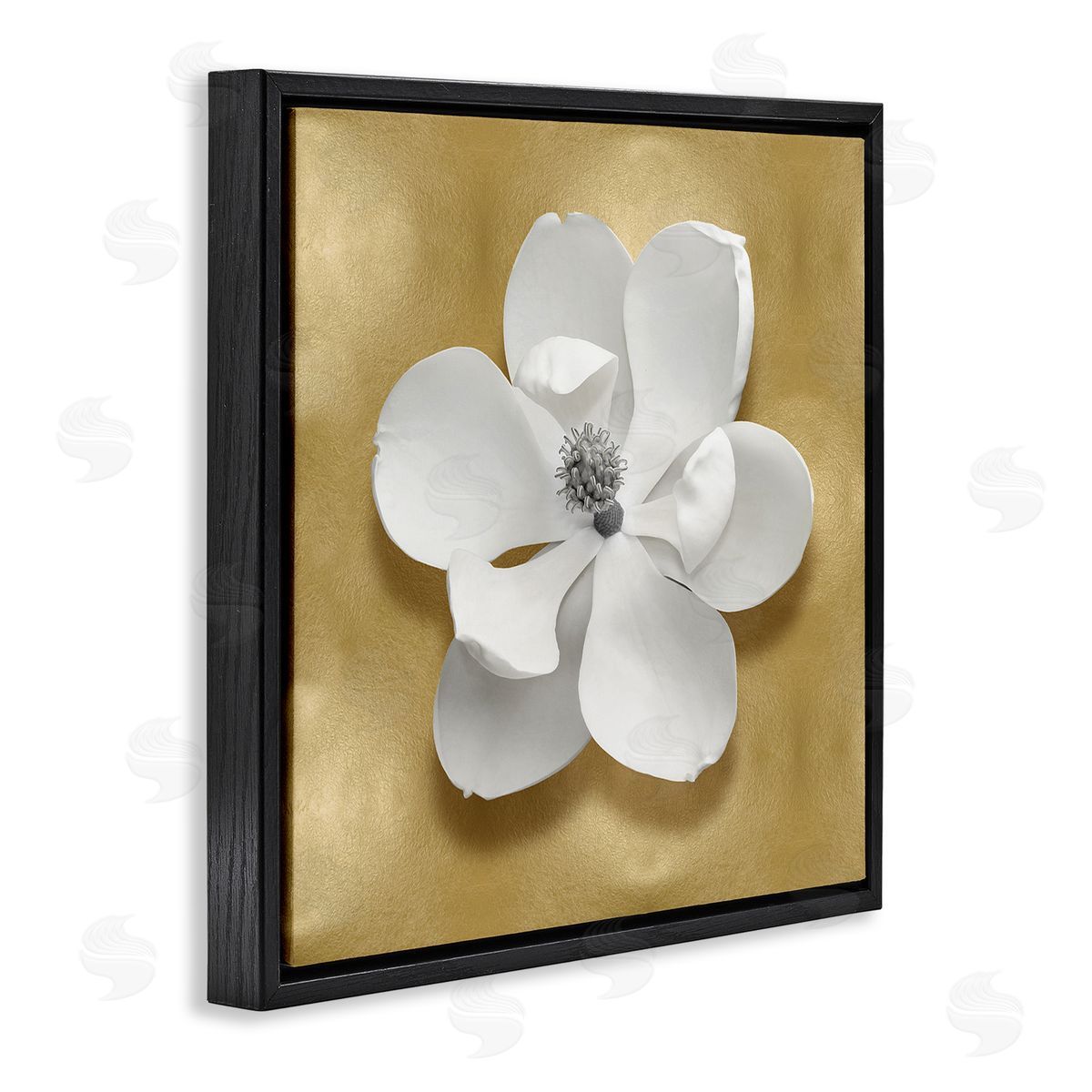 Caroline Kelly White Apple Blossom Black Floater Frame Canvas Artside_