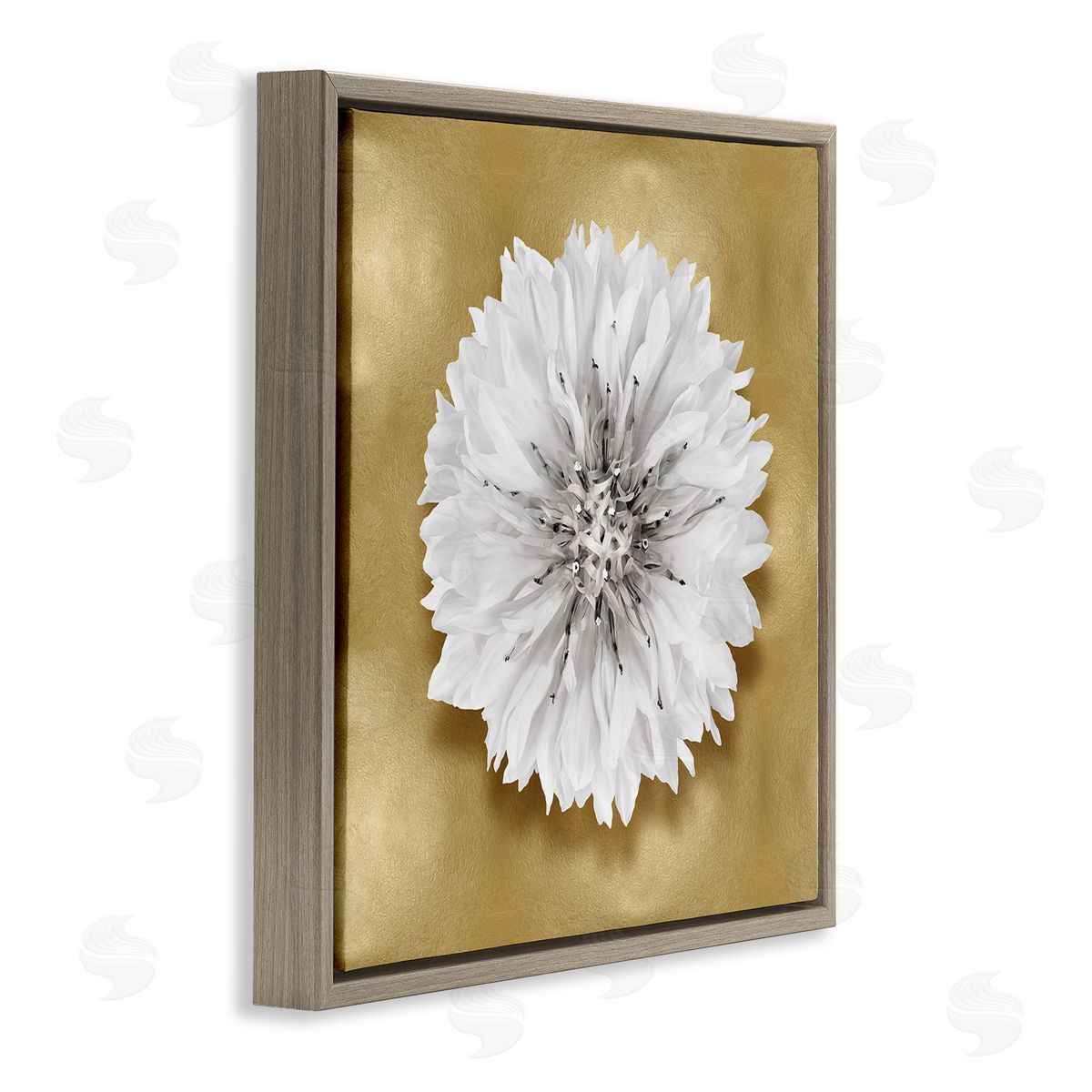 Caroline Kelly Modern Glam Dahlia Brown Floater Frame Canvas Artside_