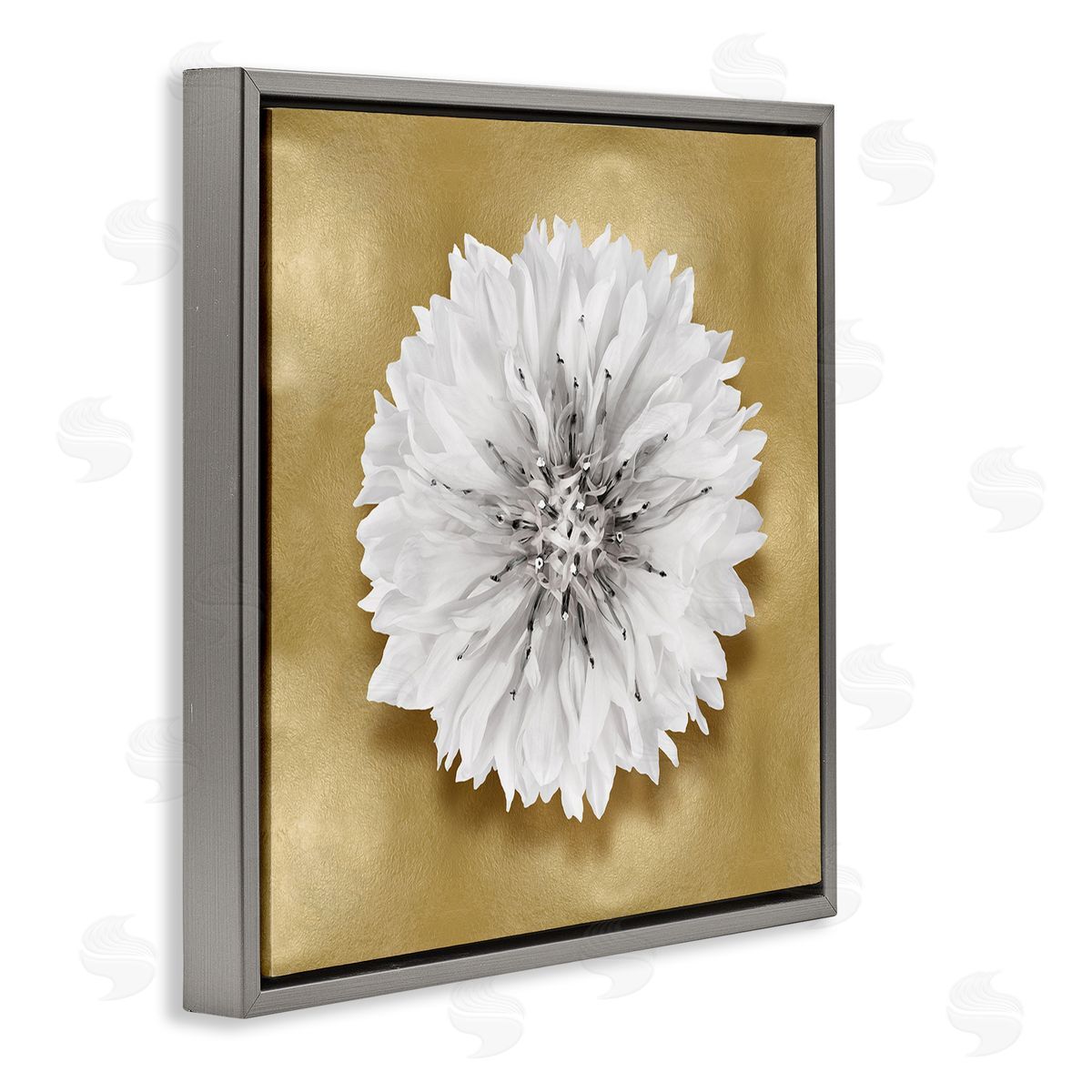 Caroline Kelly Modern Glam Dahlia Gray Floater Frame Canvas Artside_