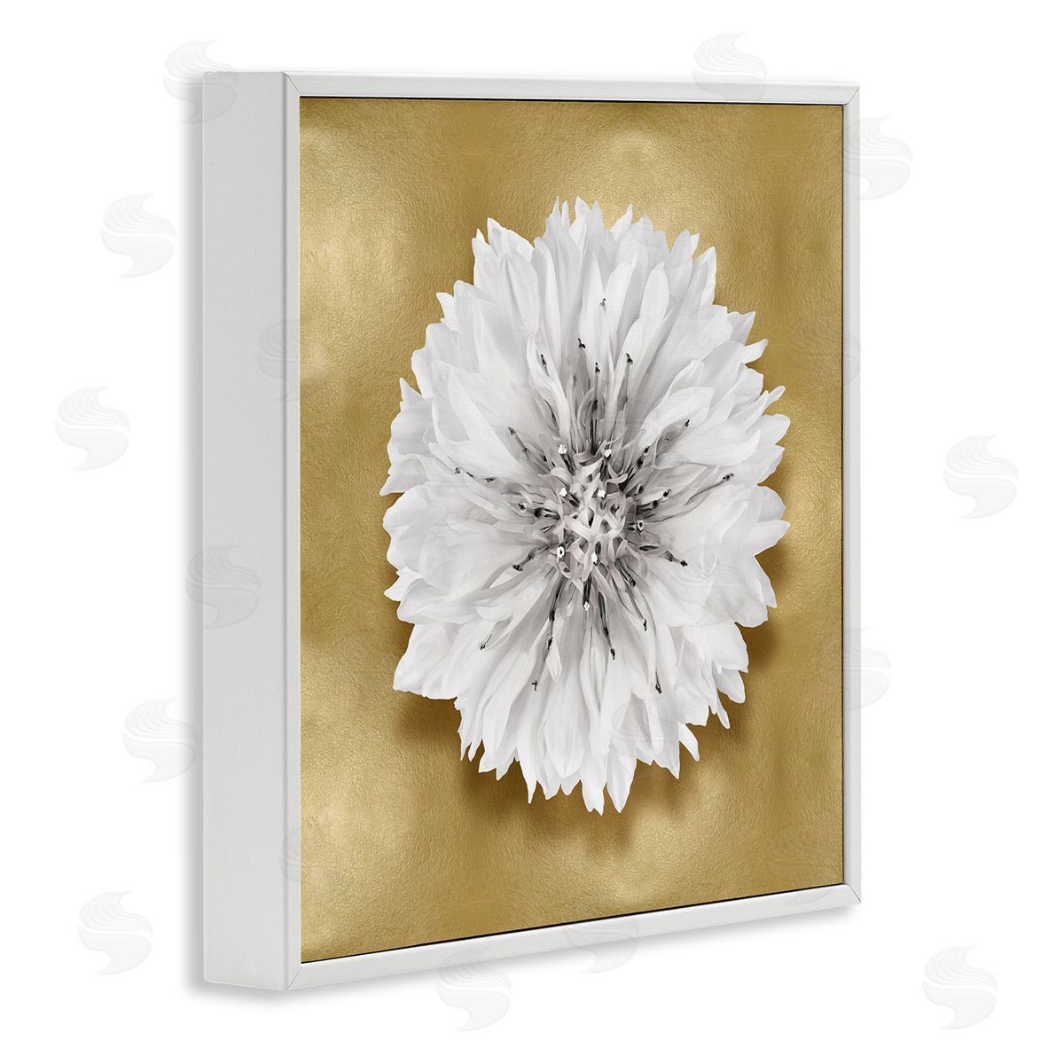 Caroline Kelly Modern Glam Dahlia White Framed Giclee Wall Artside_