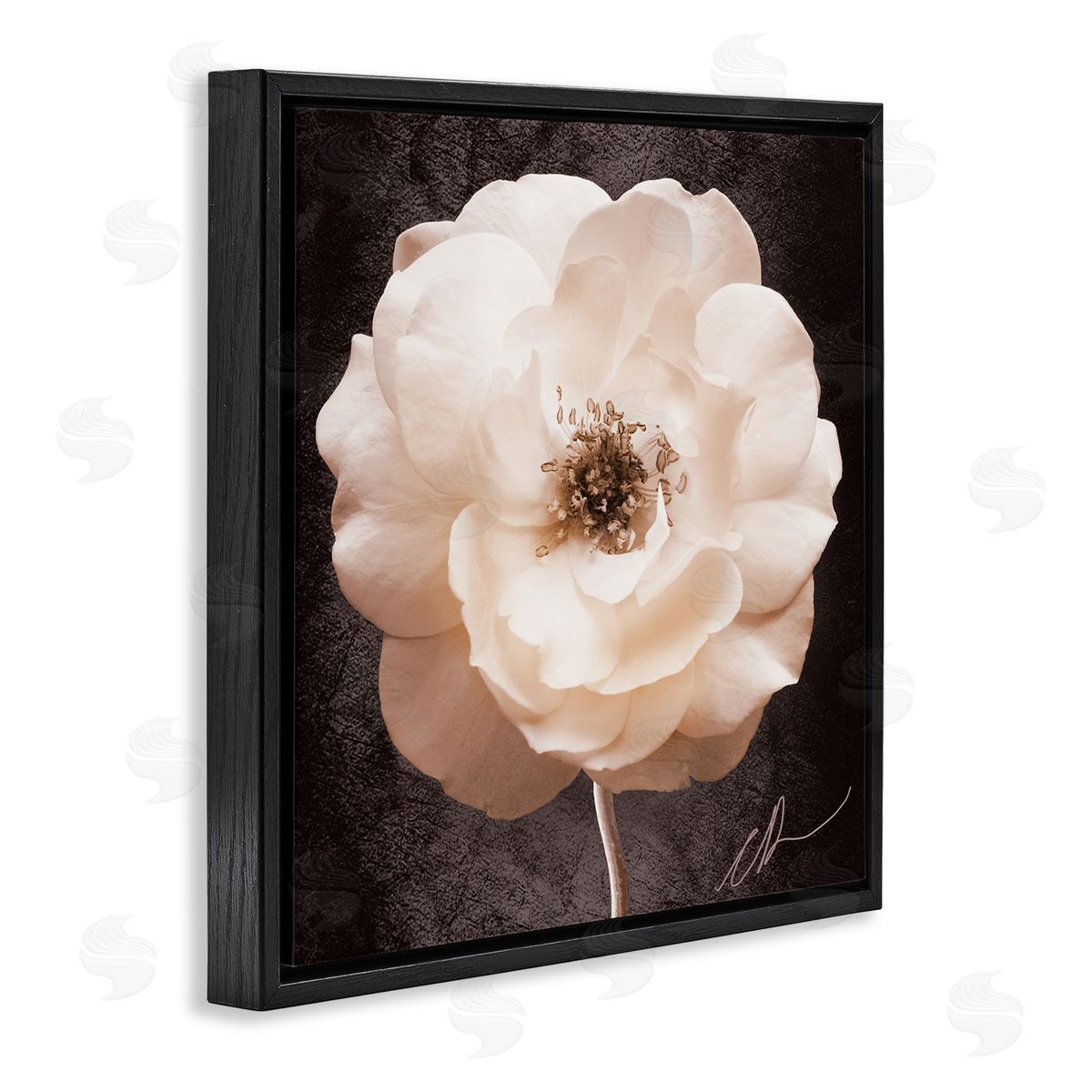 Christine Zalewski Pink Flower Photography Black Floater Frame Canvas Artside_