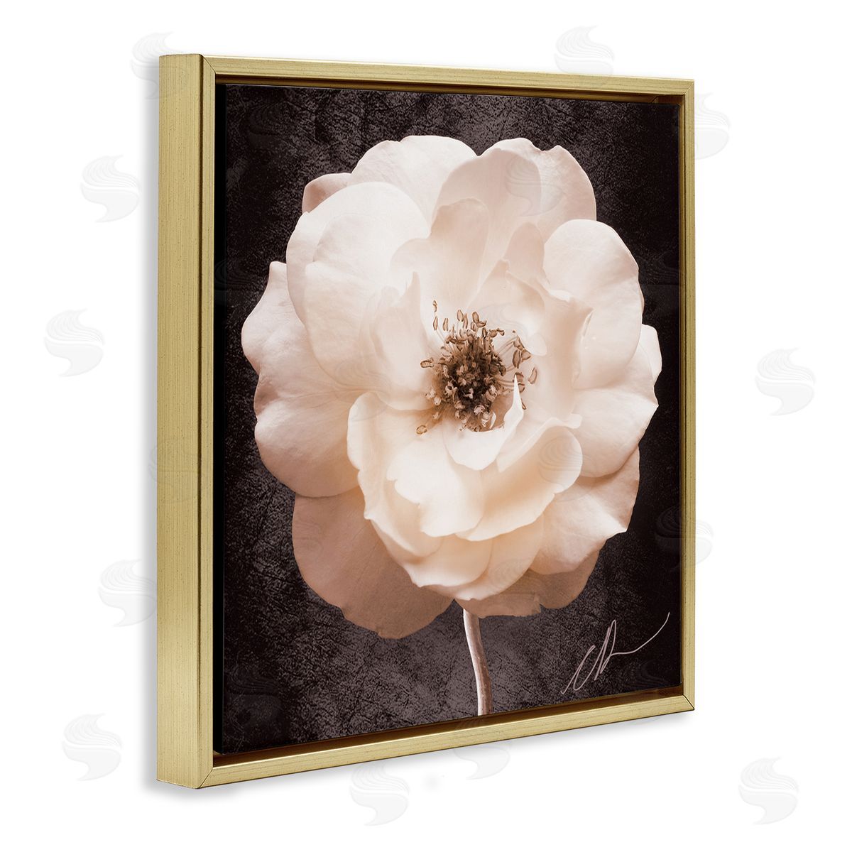 Christine Zalewski Pink Flower Photography Gold Floater Frame Canvas Artside_