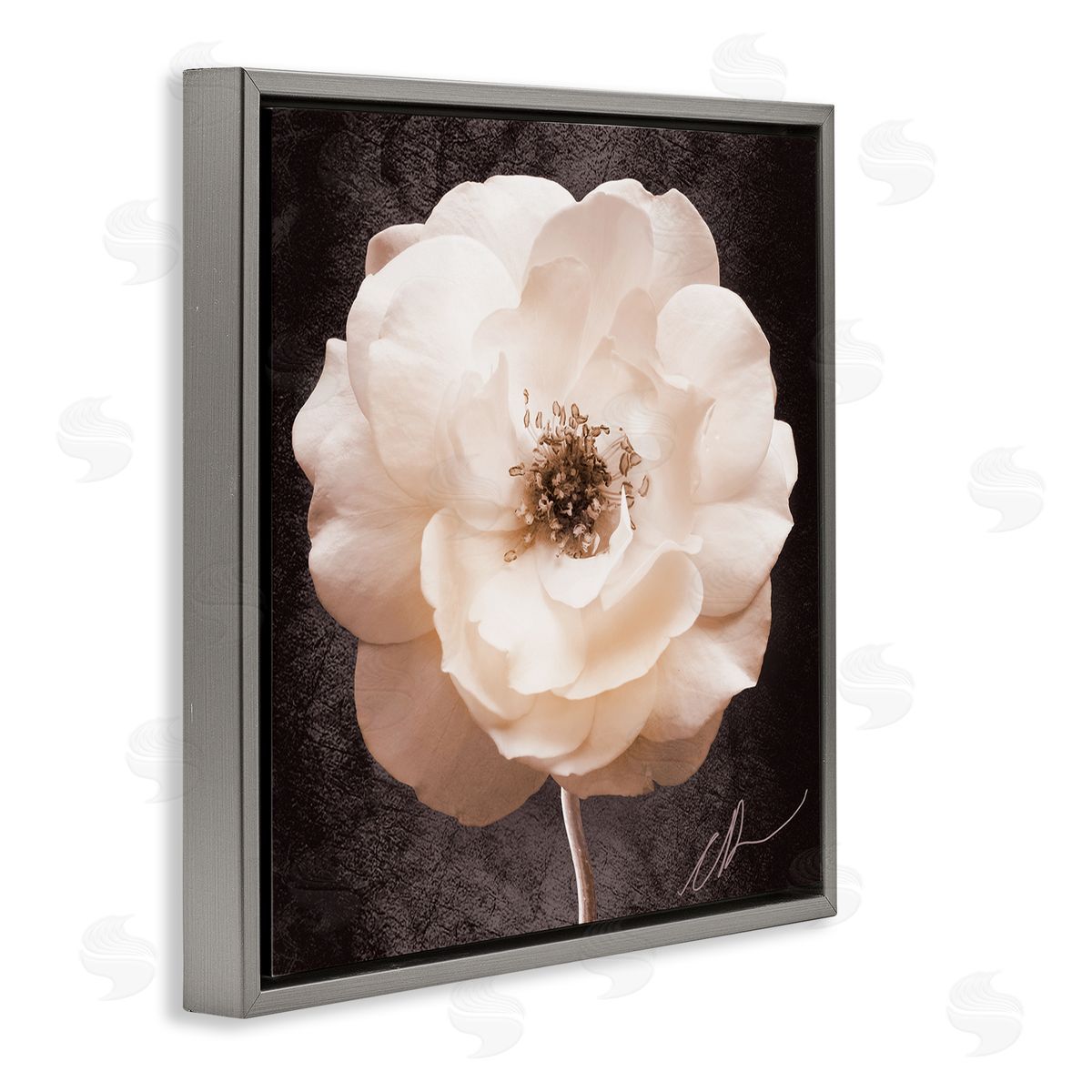 Christine Zalewski Pink Flower Photography Gray Floater Frame Canvas Artside_