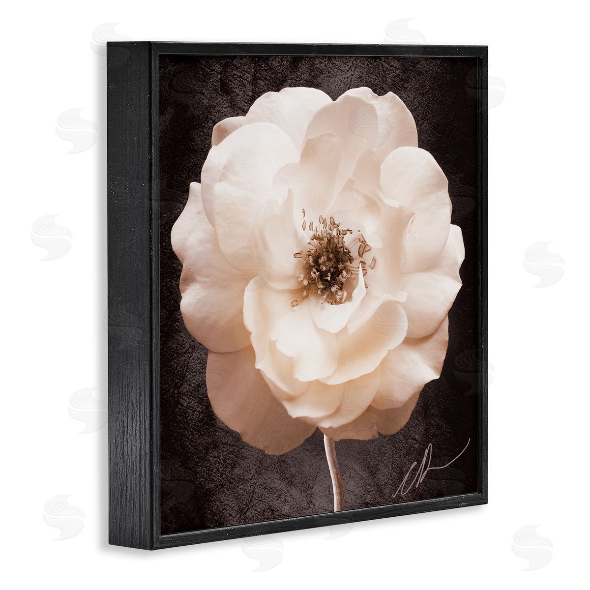 Christine Zalewski Pink Flower Photography Black Framed Giclee Wall Artside_