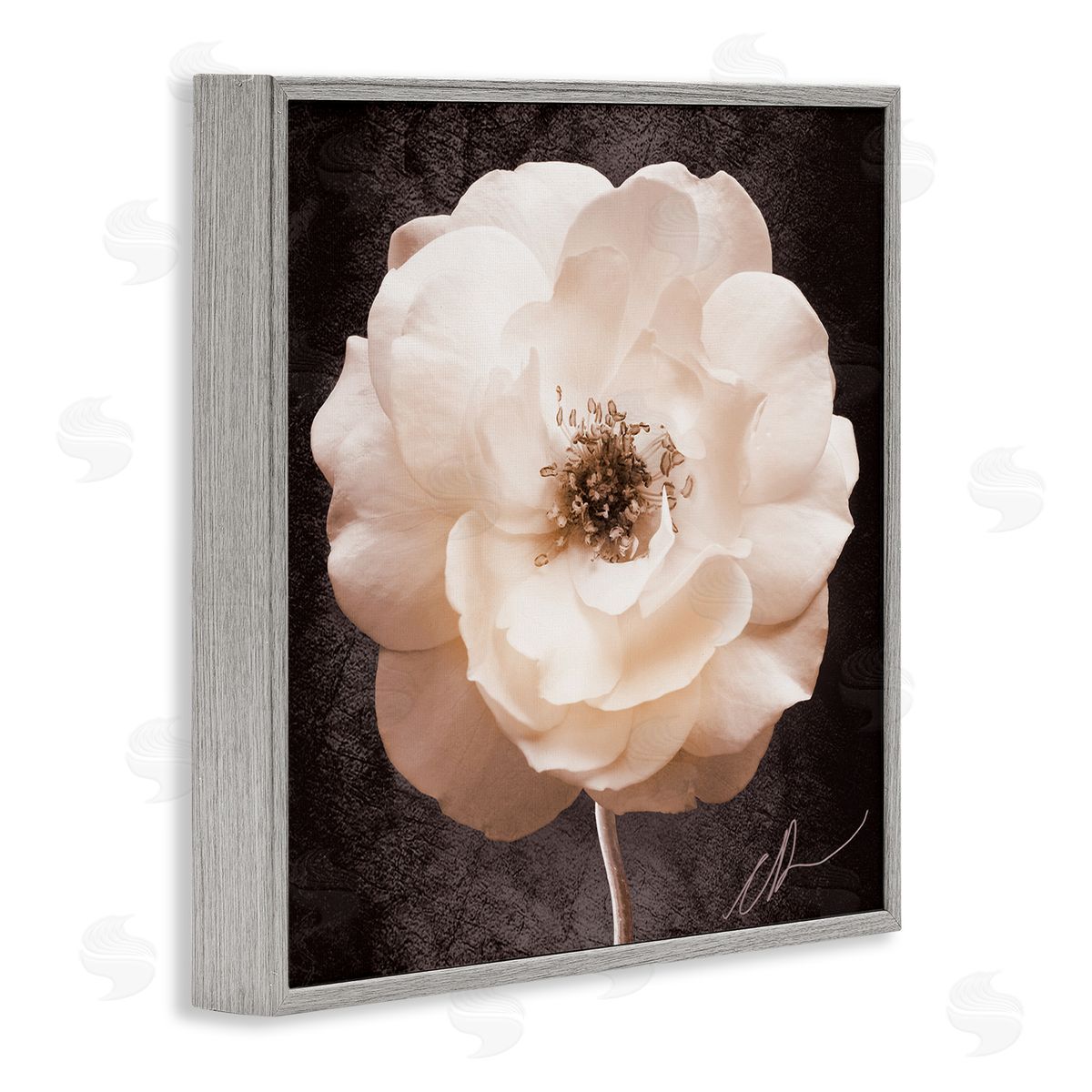 Christine Zalewski Pink Flower Photography Gray Framed Giclee Wall Artside_