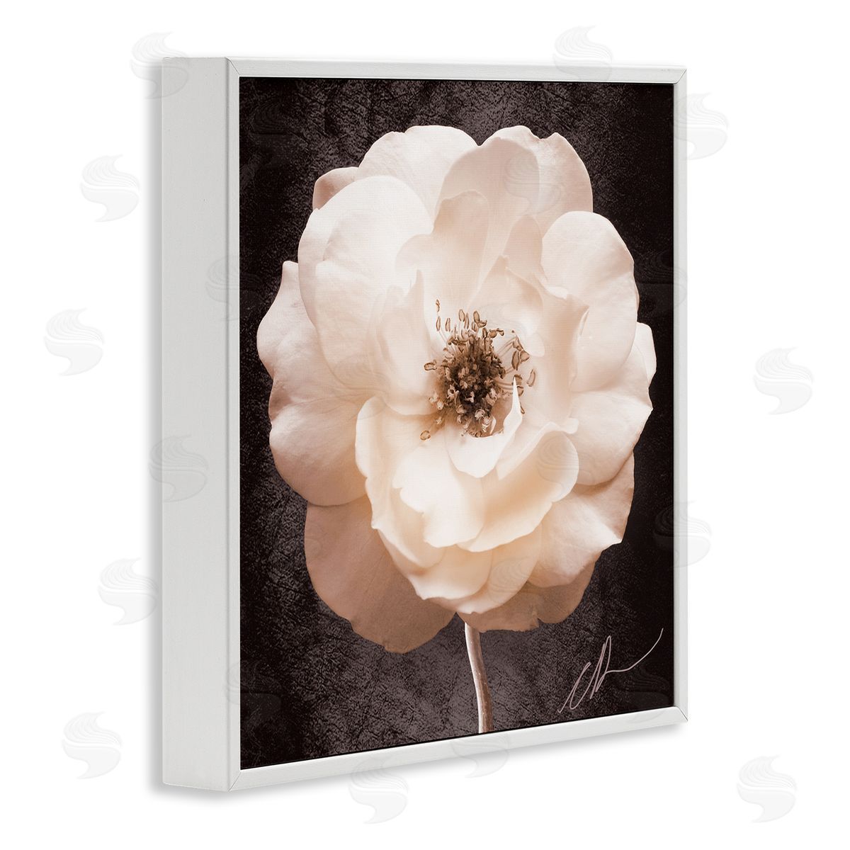 Christine Zalewski Pink Flower Photography White Framed Giclee Wall Artside_