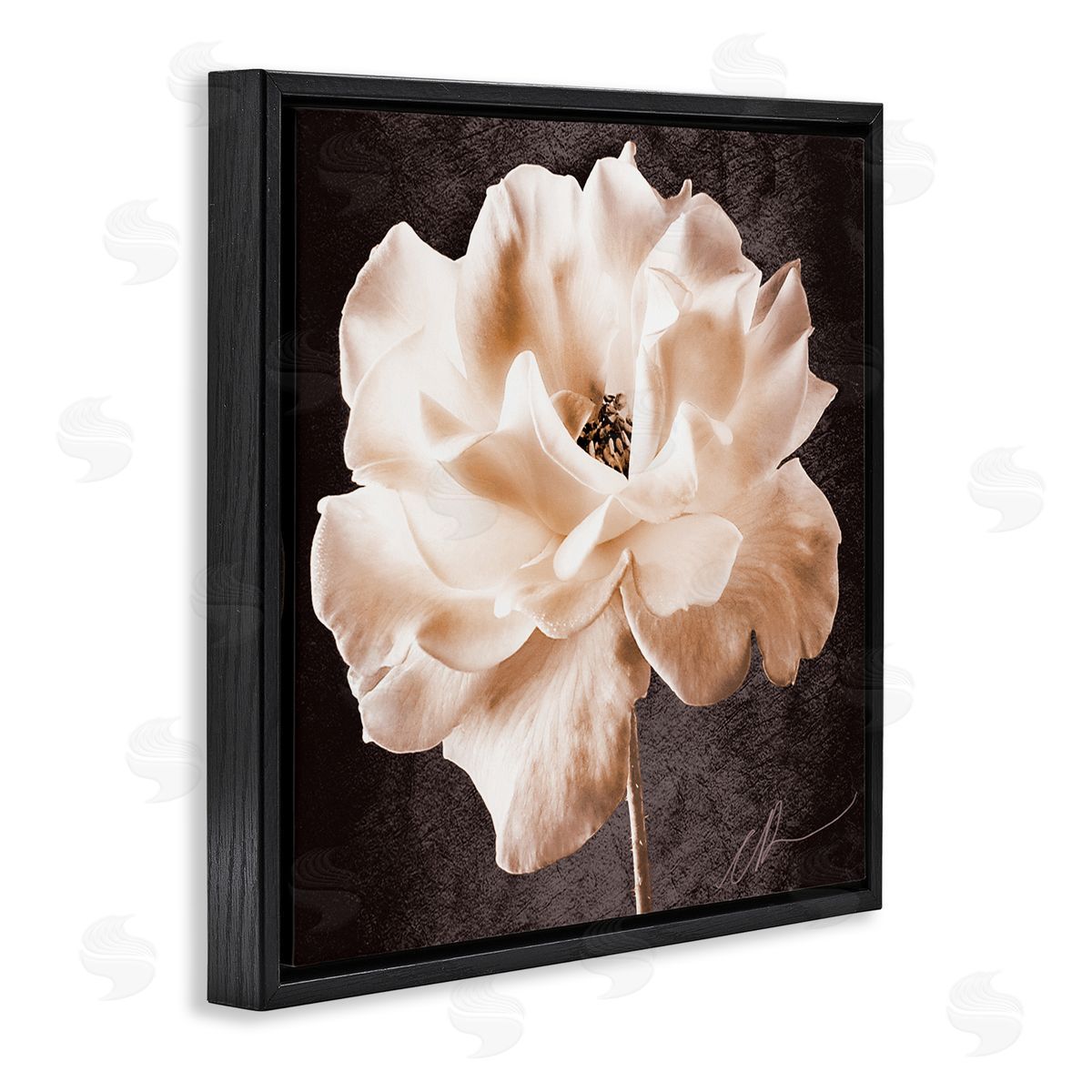 Christine Zalewski Vintage Rose Photography Black Floater Frame Canvas Artside_