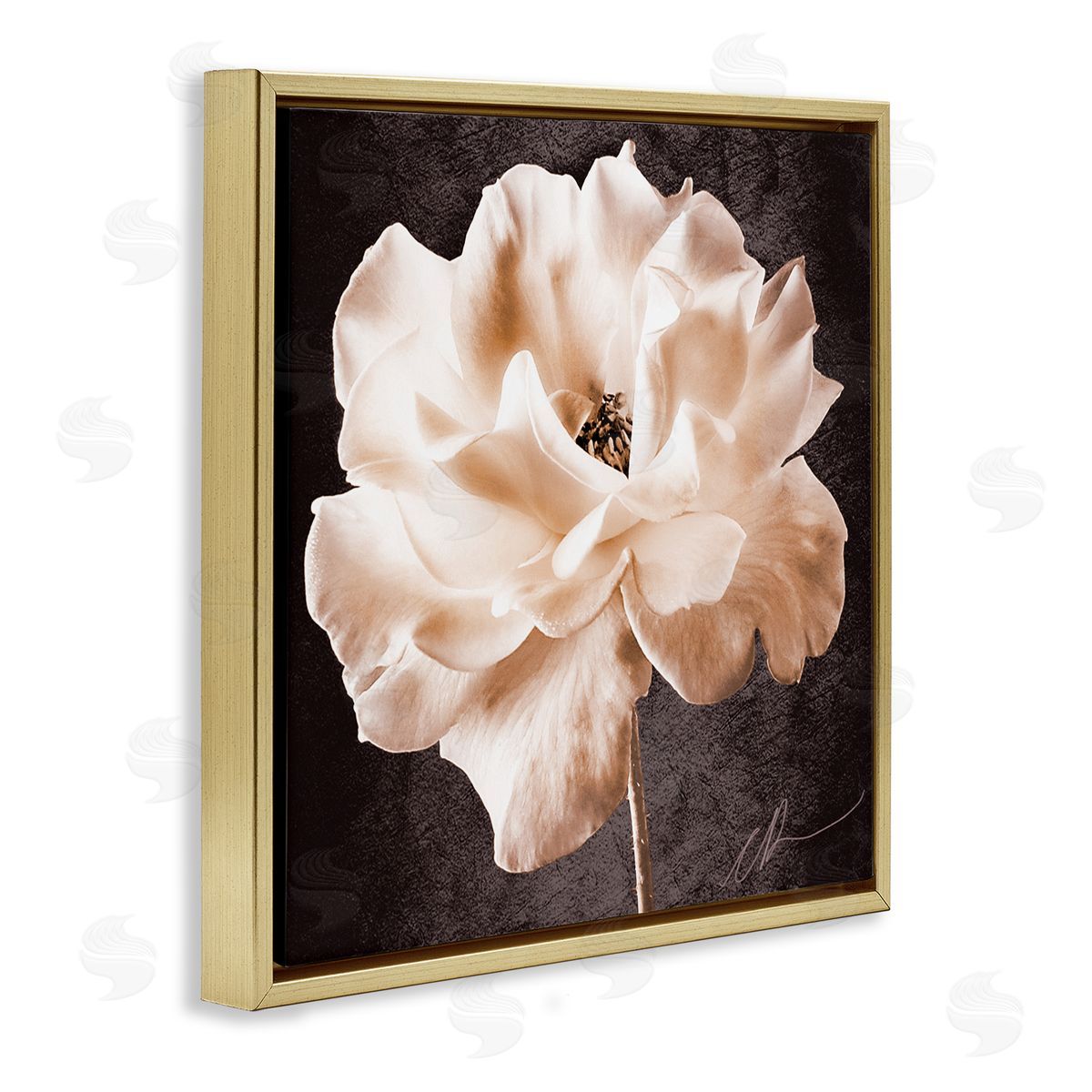 Christine Zalewski Vintage Rose Photography Gold Floater Frame Canvas Artside_