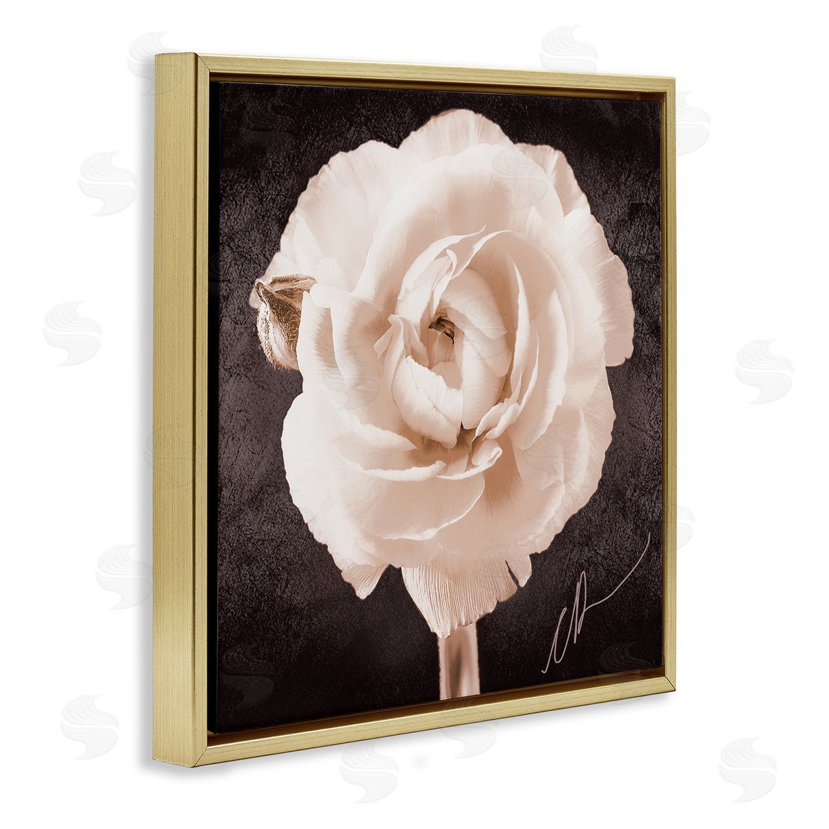Christine Zalewski Vintage Rose Bloom Gold Floater Frame Canvas Artside_