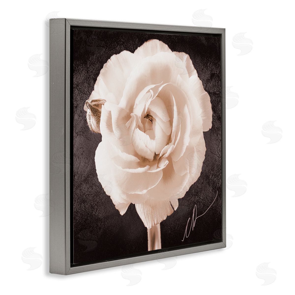 Christine Zalewski Vintage Rose Bloom Gray Floater Frame Canvas Artside_