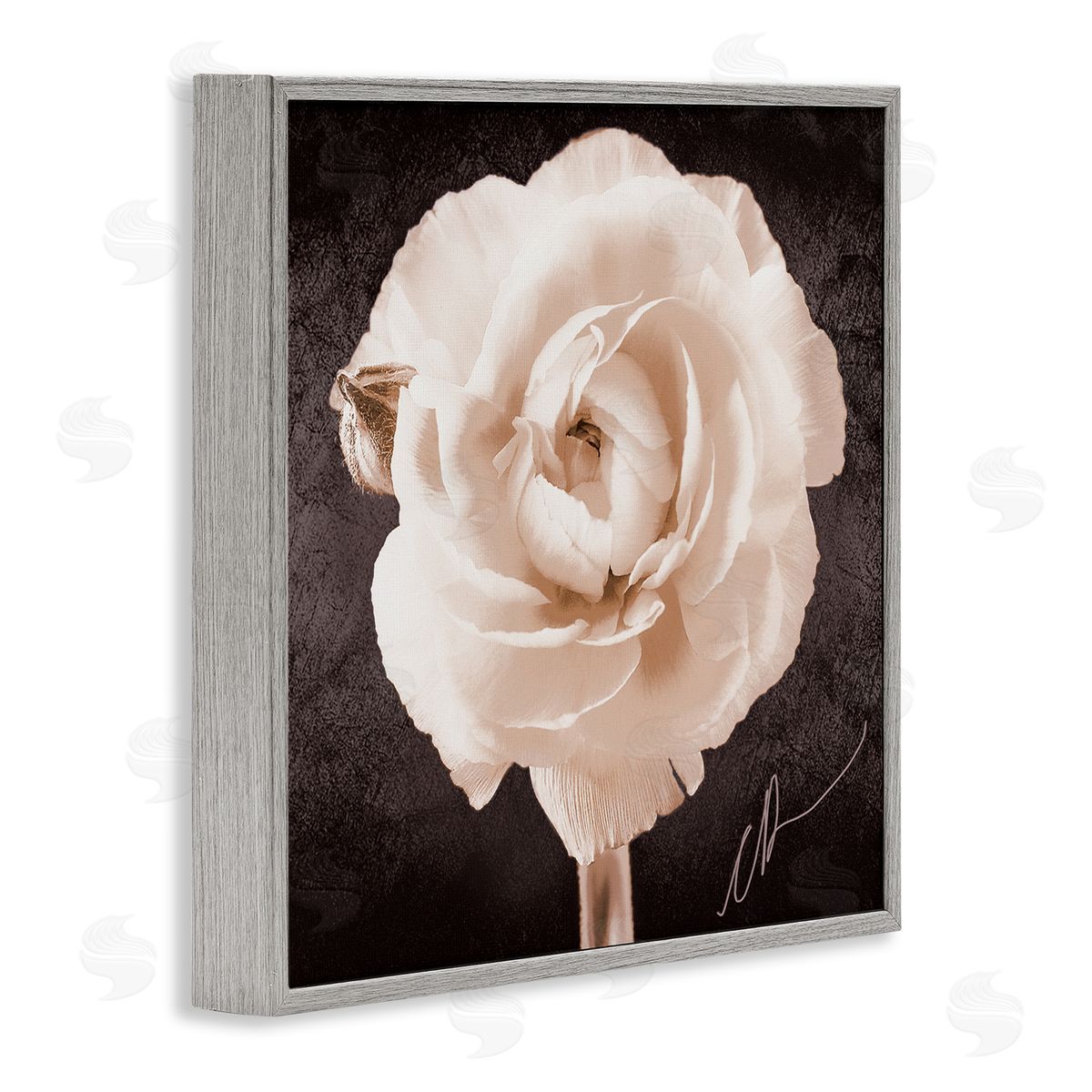 Christine Zalewski Vintage Rose Bloom Gray Framed Giclee Wall Artside_