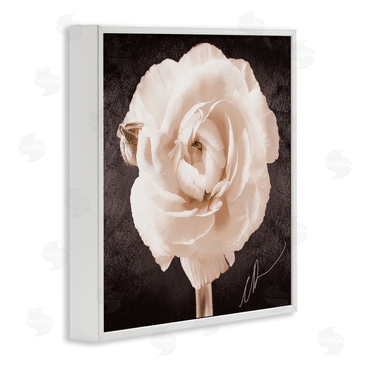 Christine Zalewski Vintage Rose Bloom White Framed Giclee Wall Artside_