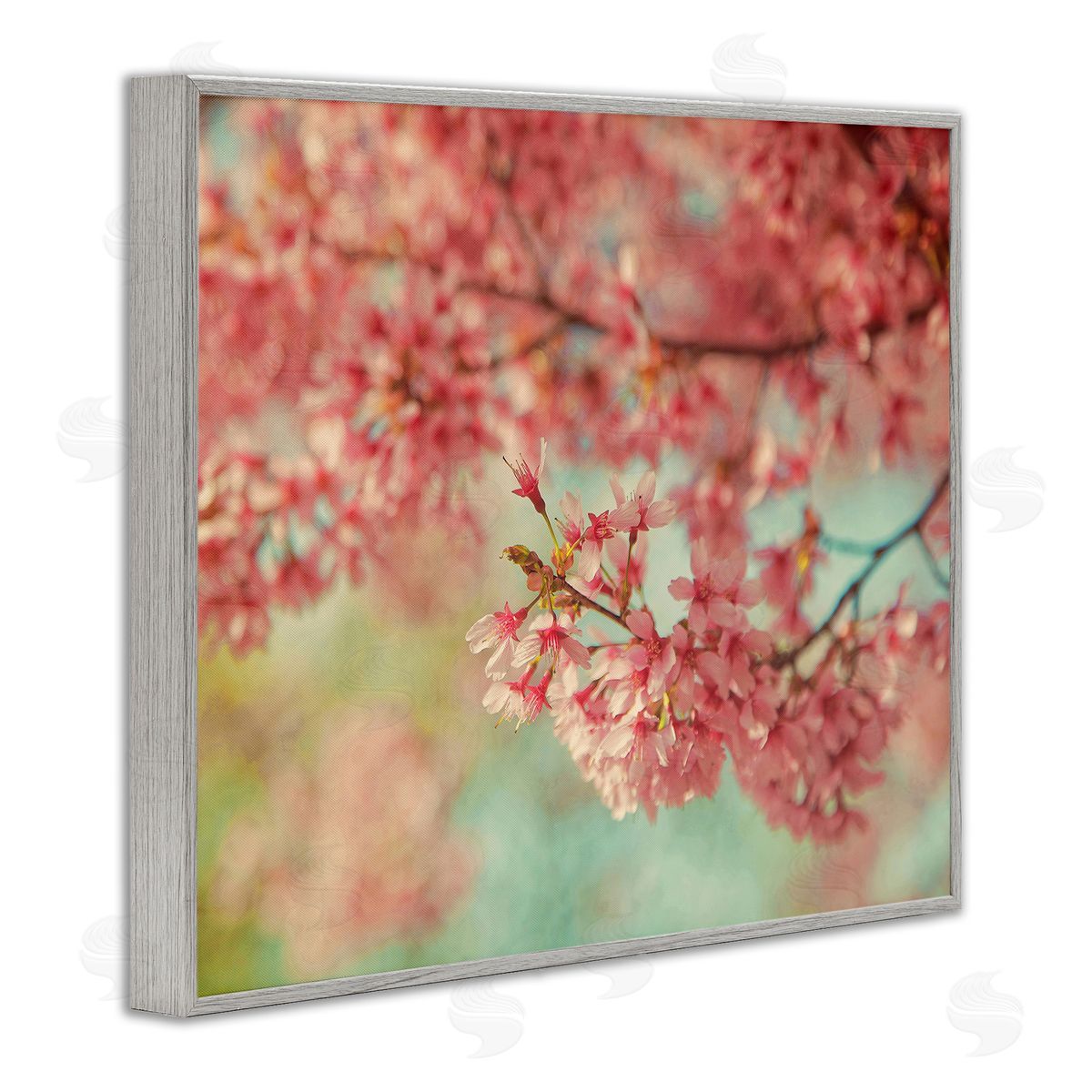 Carrie Ann Grippo-Pike Pink Cherry Blossoms Gray Framed Giclee Wall Artside_