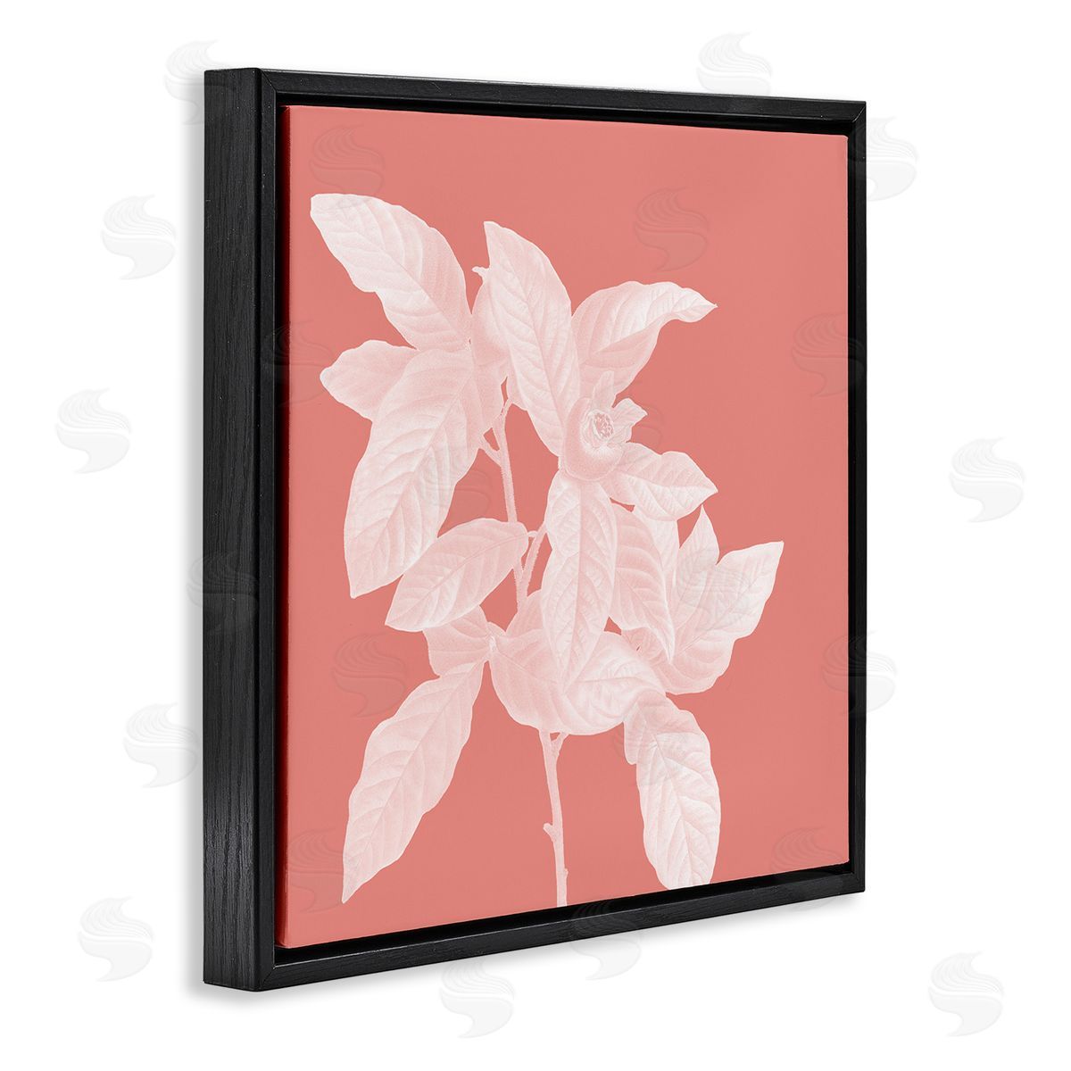 Andrea Haase Pink & White Botanical Black Floater Frame Canvas Artside_