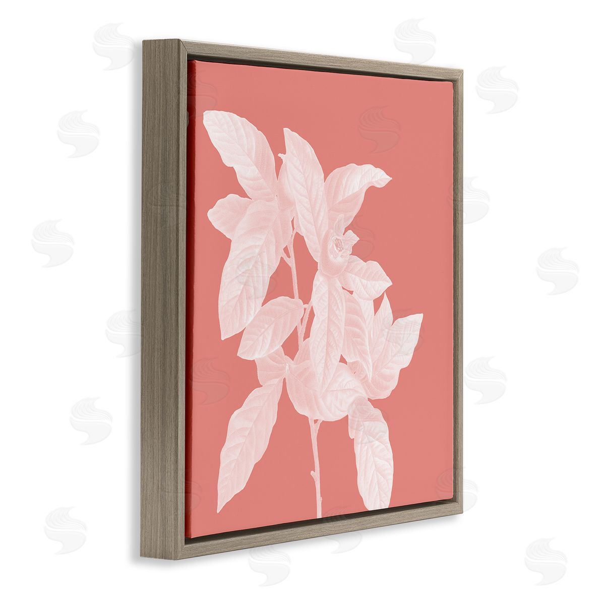 Andrea Haase Pink & White Botanical Brown Floater Frame Canvas Artside_