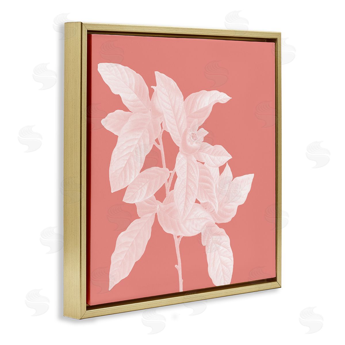 Andrea Haase Pink & White Botanical Gold Floater Frame Canvas Artside_