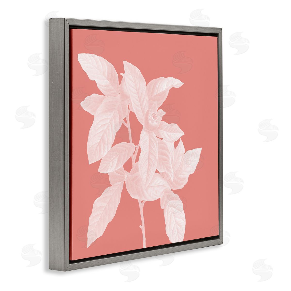Andrea Haase Pink & White Botanical Gray Floater Frame Canvas Artside_