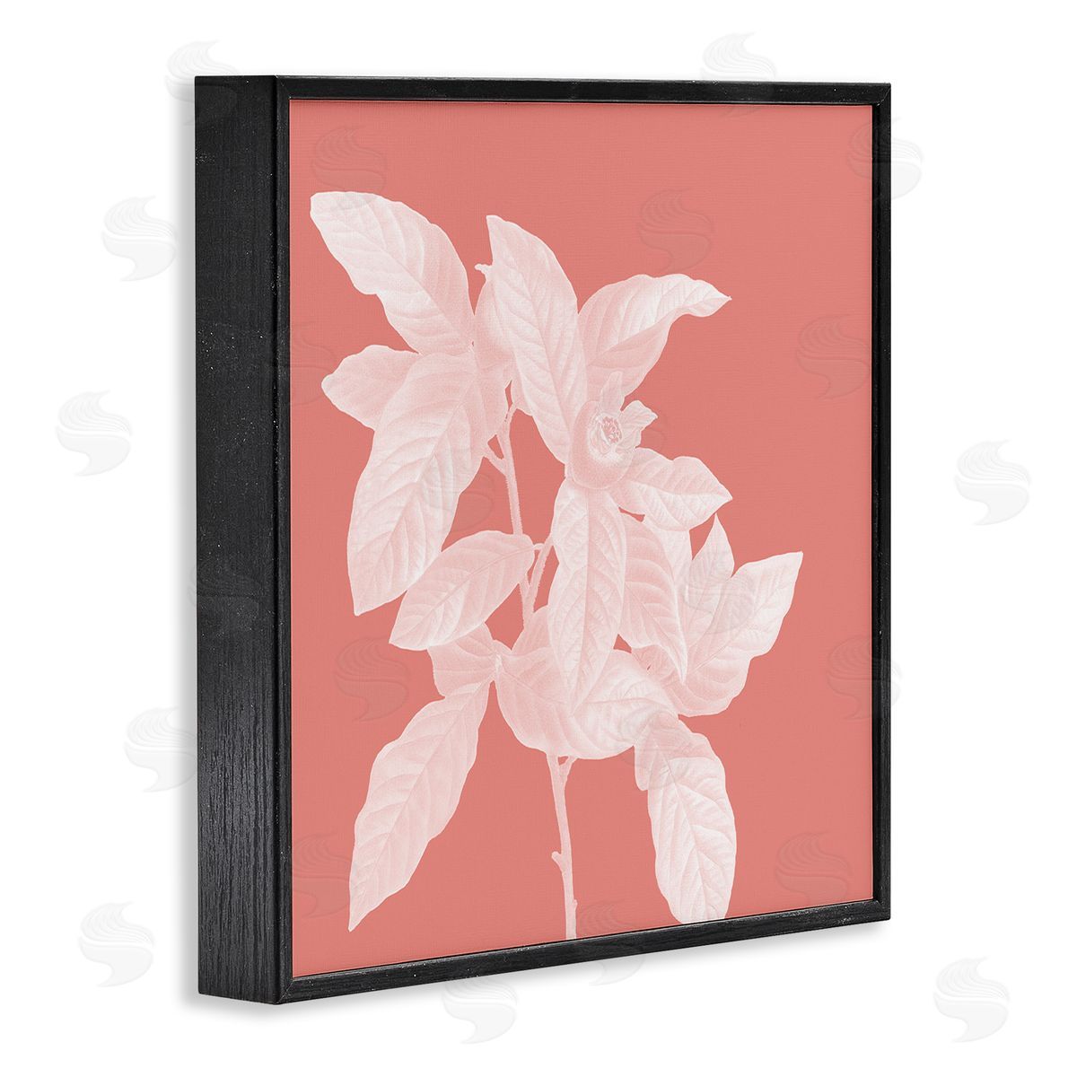 Andrea Haase Pink & White Botanical Black Framed Giclee Wall Artside_