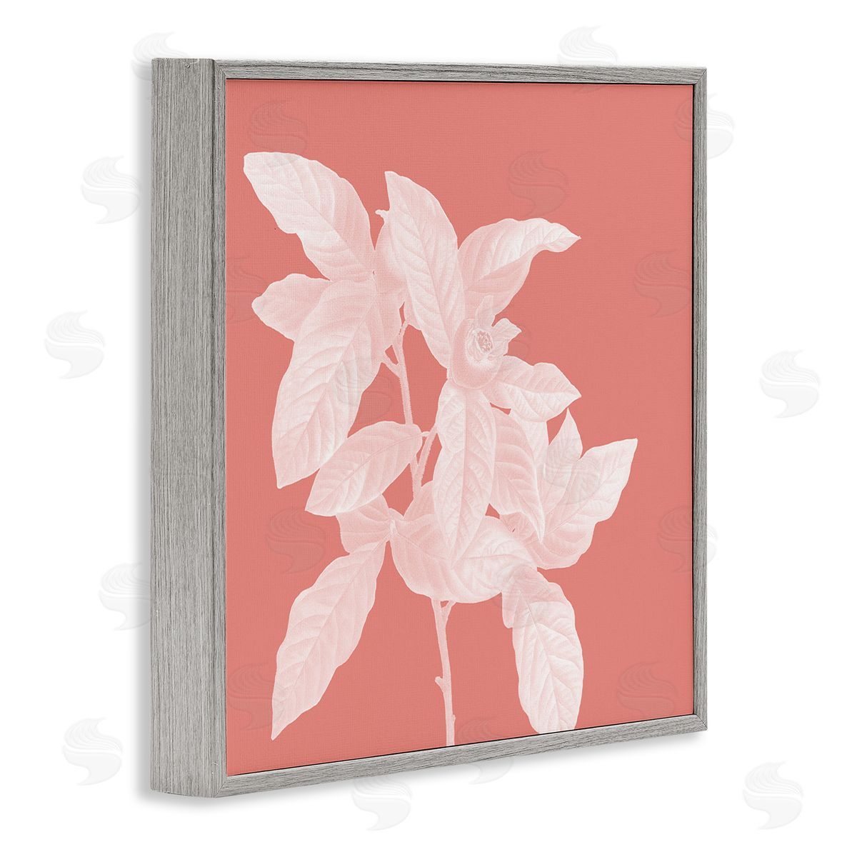 Andrea Haase Pink & White Botanical Gray Framed Giclee Wall Artside_
