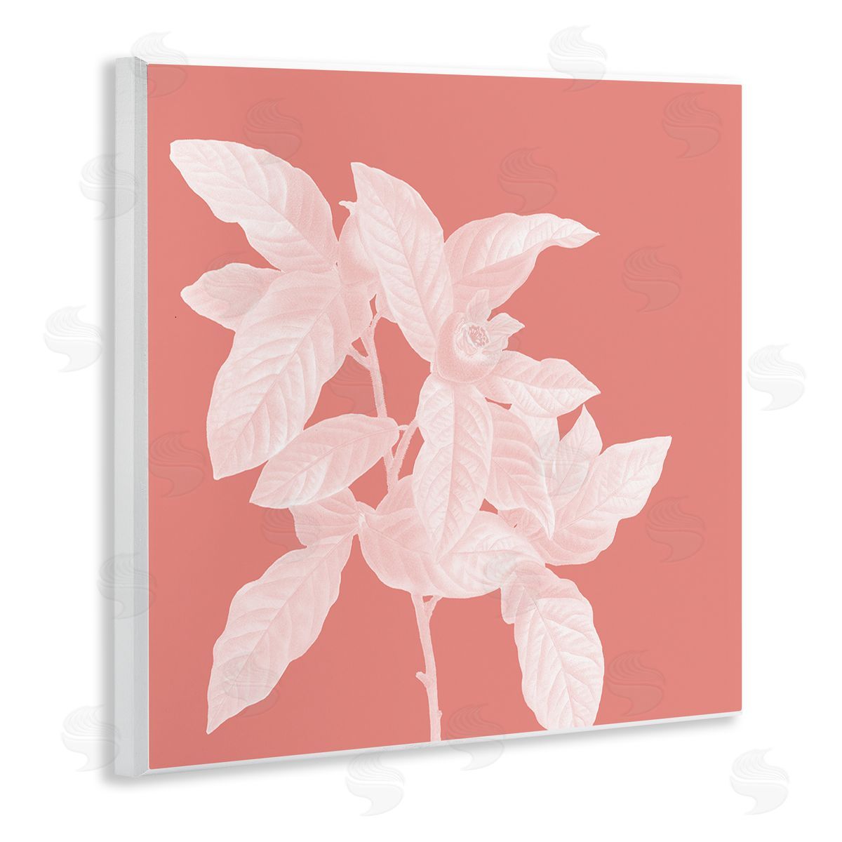 Andrea Haase Pink & White Botanical Wall Plaque Artside_