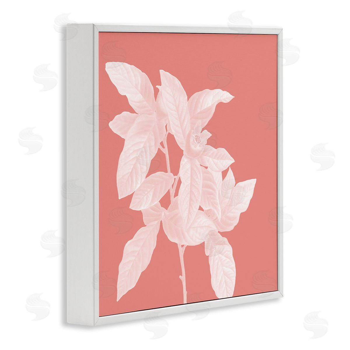 Andrea Haase Pink & White Botanical White Framed Giclee Wall Artside_