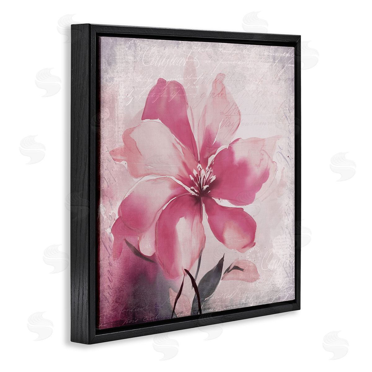 Andrea Haase Vintage Pink Lily Black Floater Frame Canvas Artside_