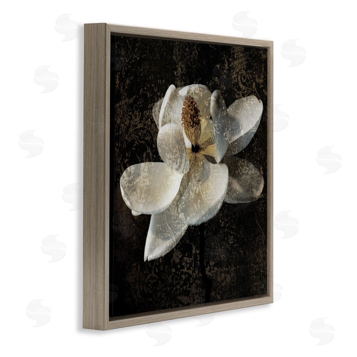 John Seba Rustic Magnolia Flower Brown Floater Frame Canvas Artside_