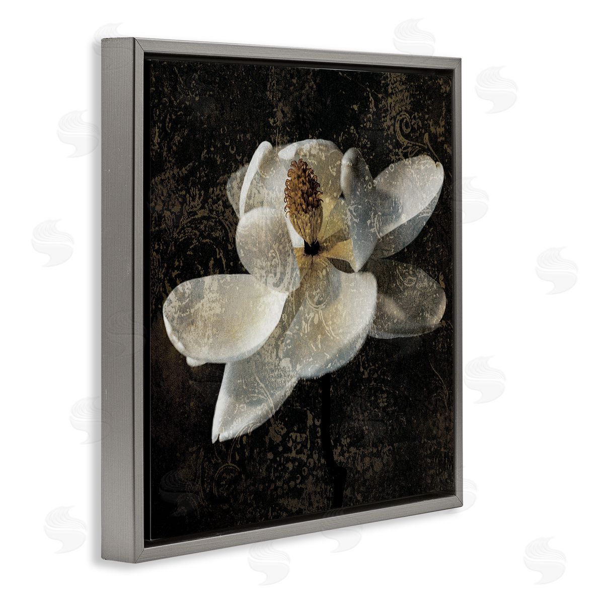 John Seba Rustic Magnolia Flower Gray Floater Frame Canvas Artside_