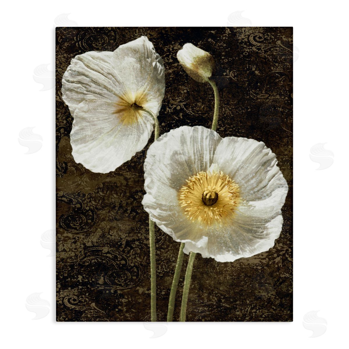 John Seba Budding White Poppies Canvas Wall Art