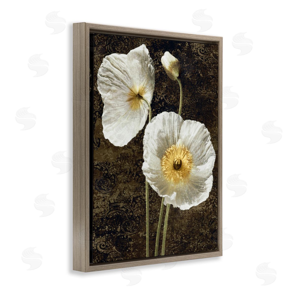 John Seba Budding White Poppies Brown Floater Frame Canvas Artside_