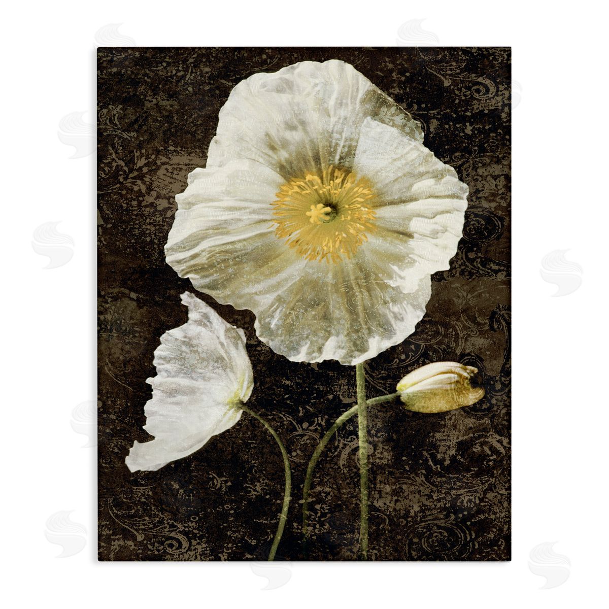John Seba Rustic White Poppies Canvas Wall Art