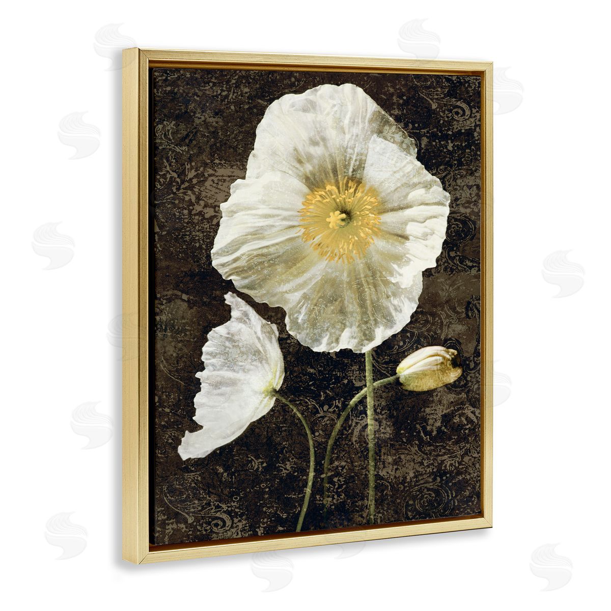 John Seba Rustic White Poppies Gold Floater Frame Canvas Artside_