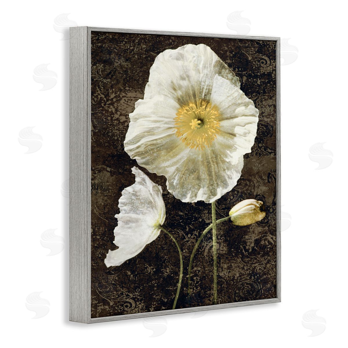 John Seba Rustic White Poppies Gray Framed Giclee Wall Artside_