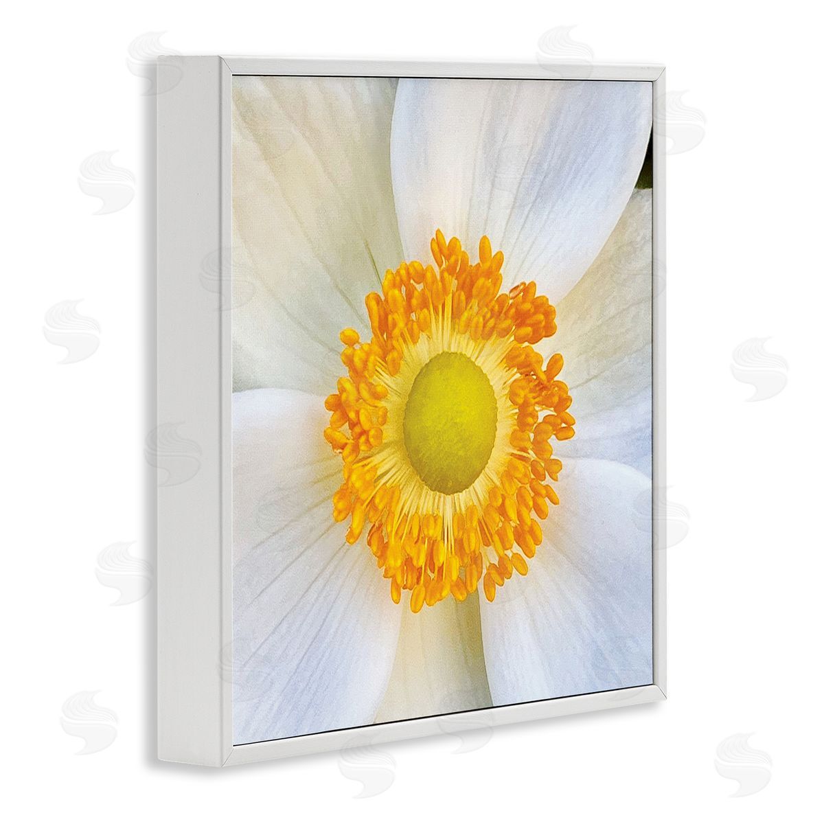 JG Studios White Flower Close Up White Framed Giclee Wall Artside_