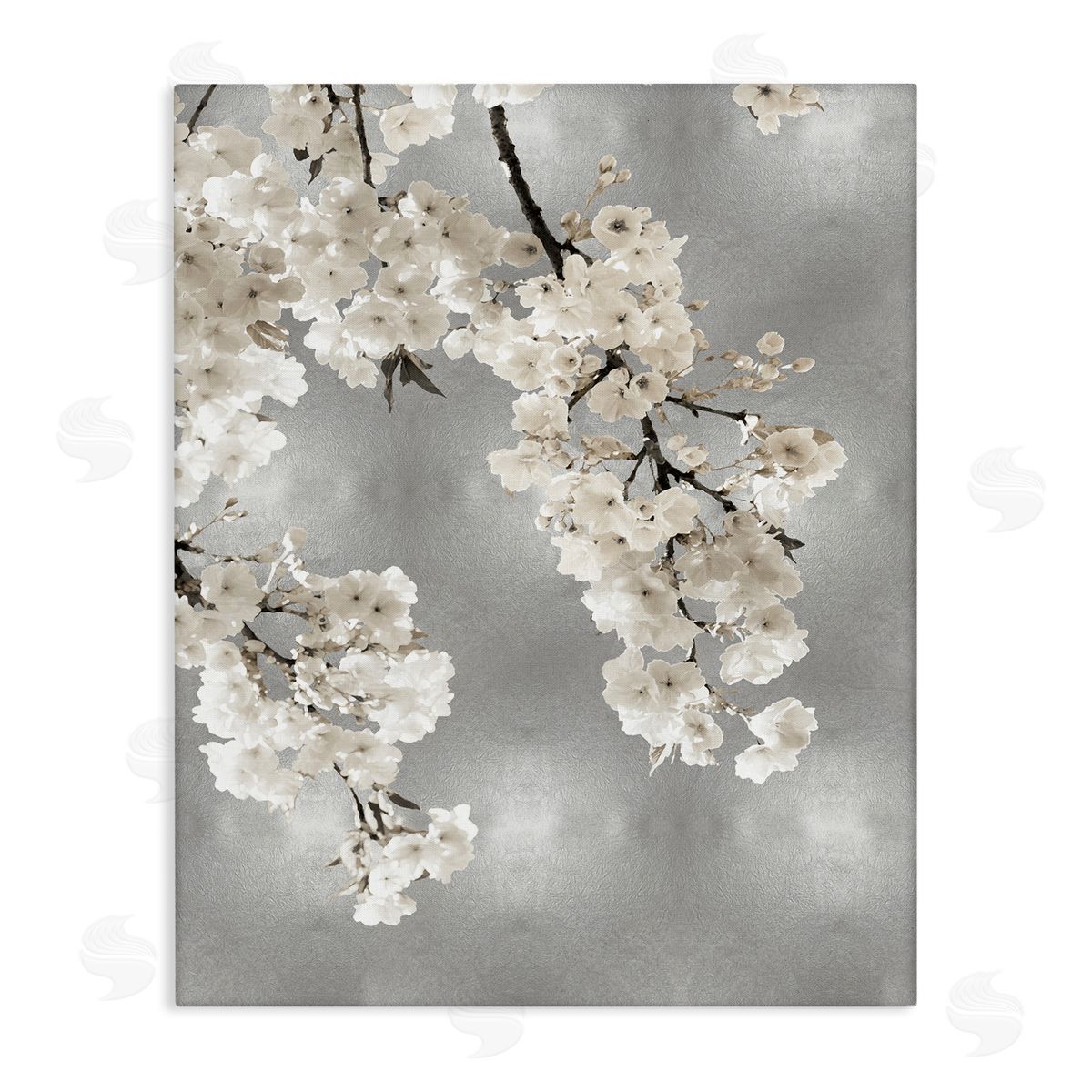 Kate Bennett Modern White Cherry Blossoms Canvas Wall Art