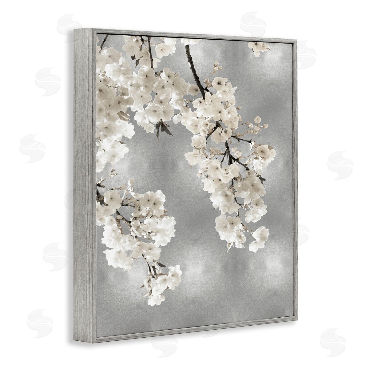 Kate Bennett Modern White Cherry Blossoms Gray Framed Giclee Wall Artside_