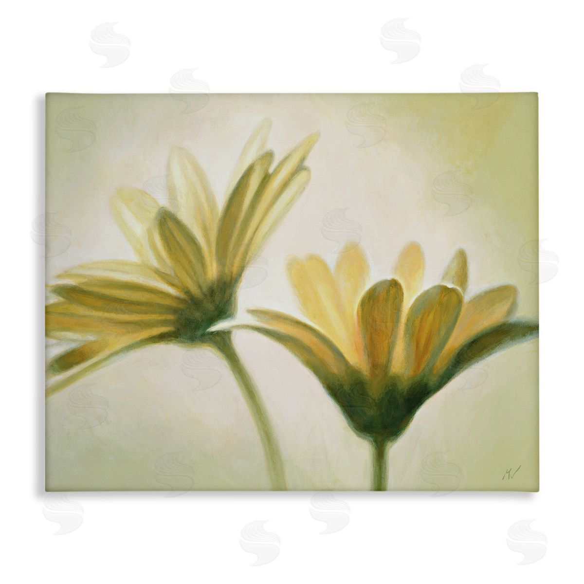 Massimo Valli Two Daisies Painting Canvas Wall Art