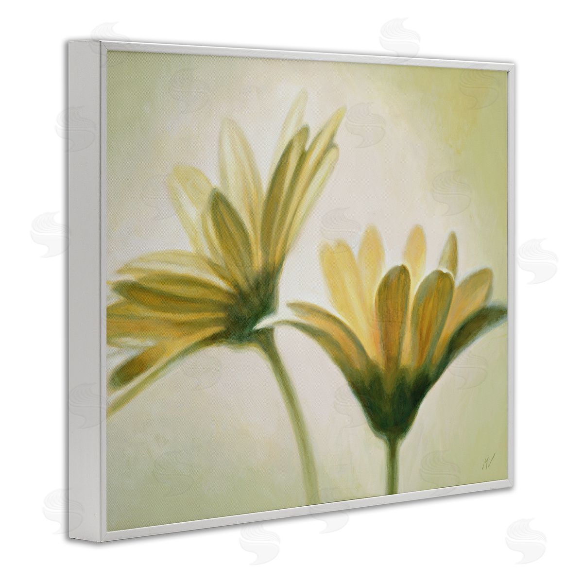 Massimo Valli Two Daisies Painting White Framed Giclee Wall Artside_
