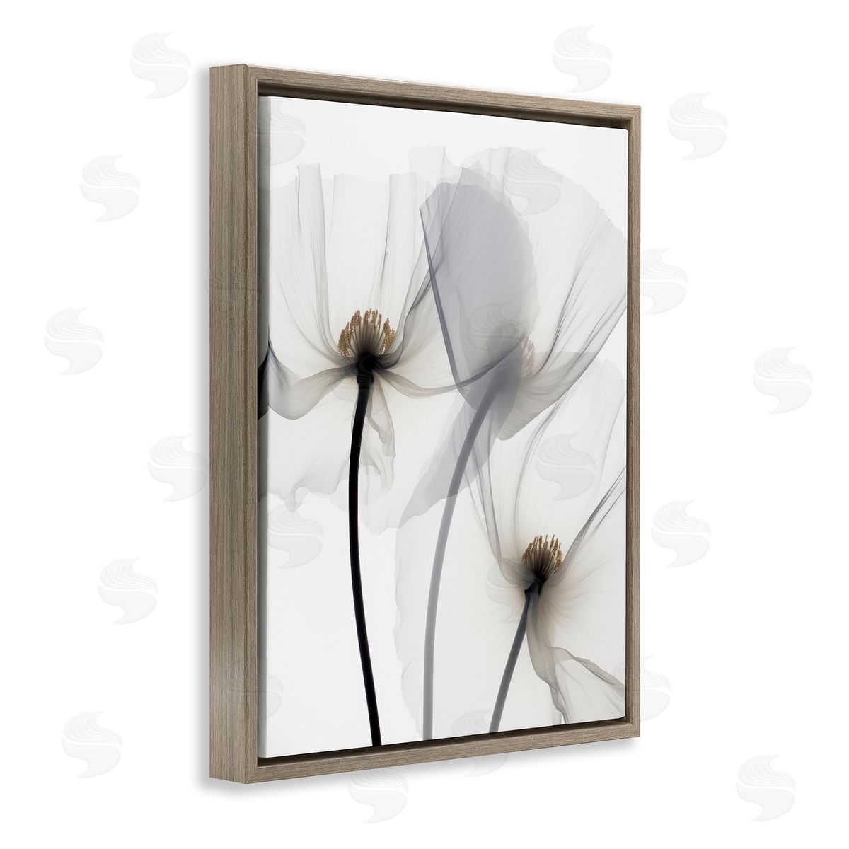 Irena Orlov Modern White Poppies Brown Floater Frame Canvas Artside_