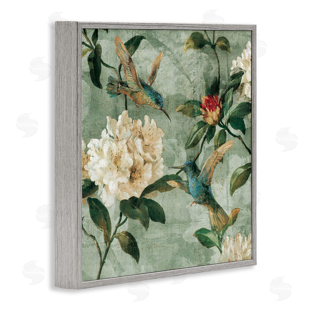 Reneé Campbell Vintage Hummingbird & Flowers Gray Framed Giclee Wall Artside_