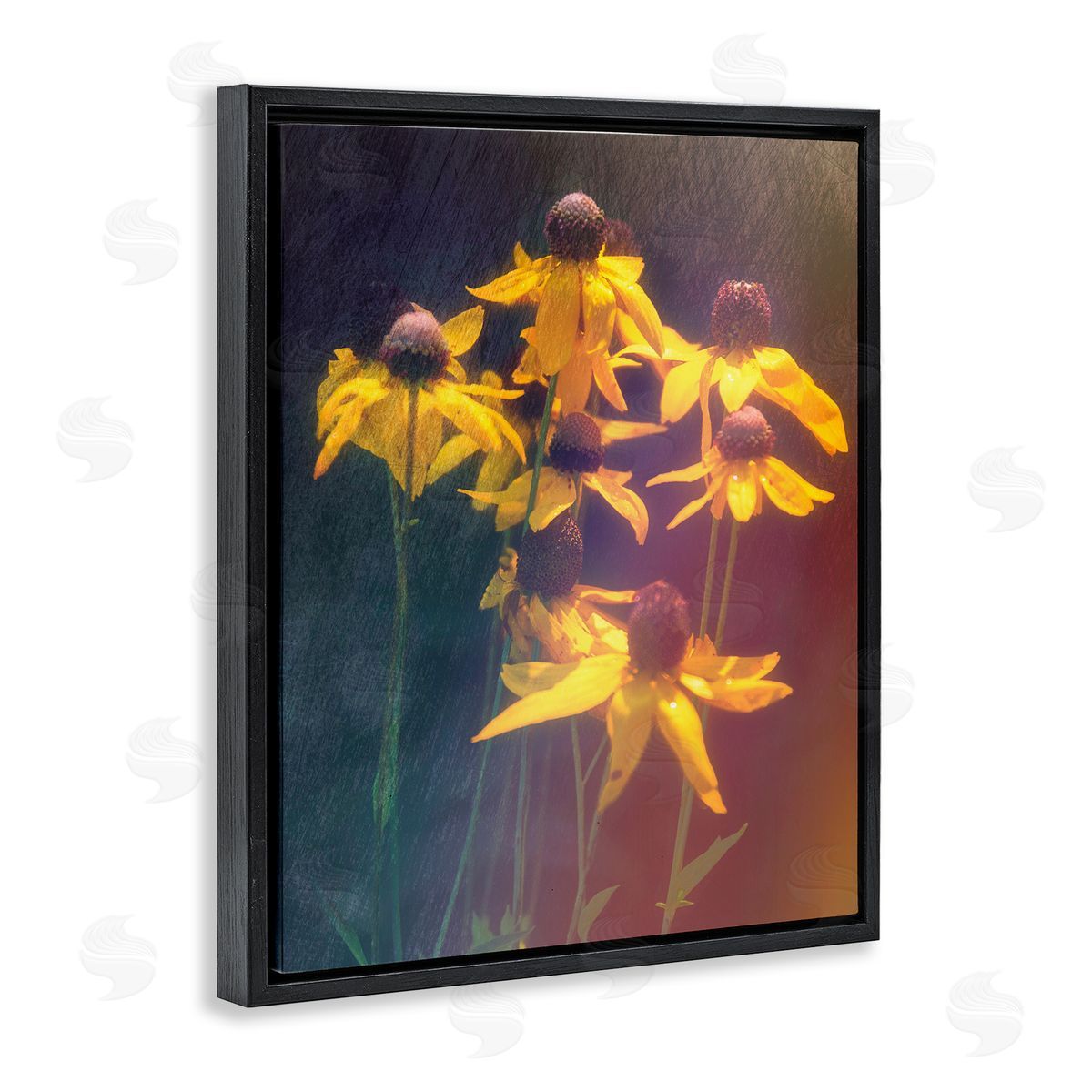 Daniel Sproul Black-Eyed Susan Photography Black Floater Frame Canvas Artside_