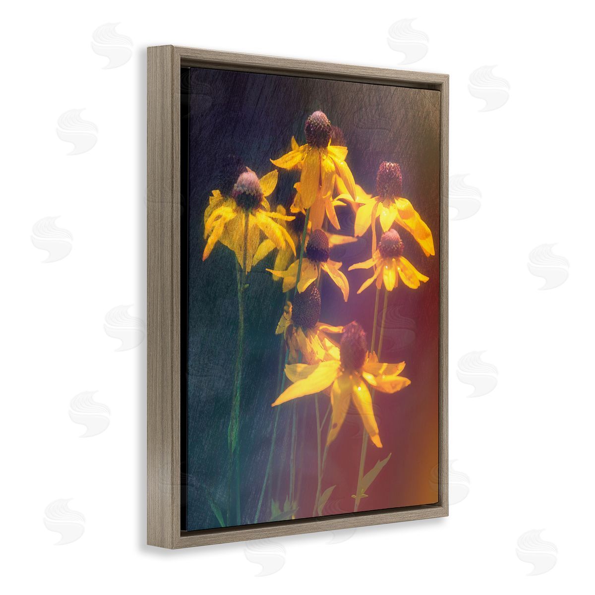 Daniel Sproul Black-Eyed Susan Photography Brown Floater Frame Canvas Artside_