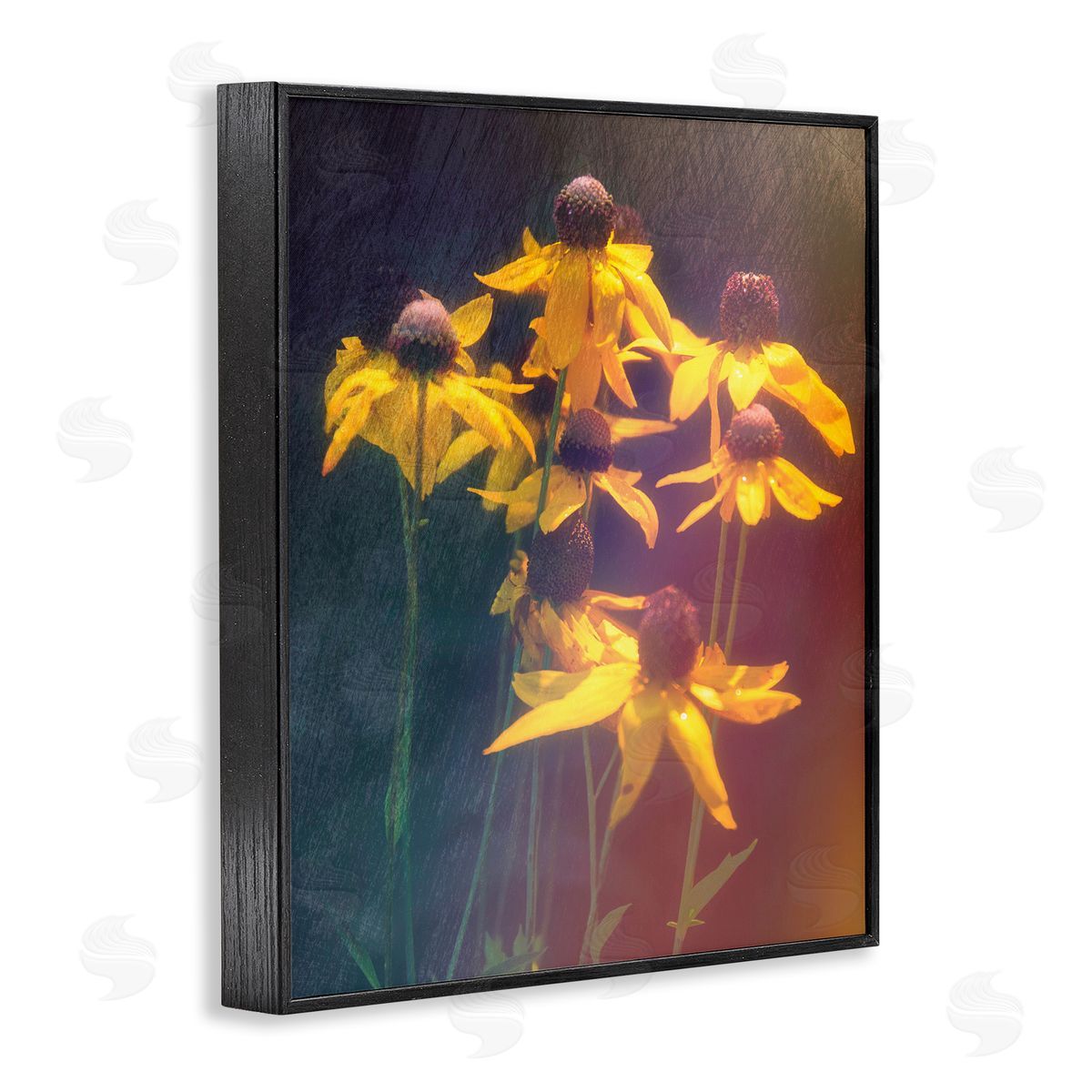 Daniel Sproul Black-Eyed Susan Photography Black Framed Giclee Wall Artside_