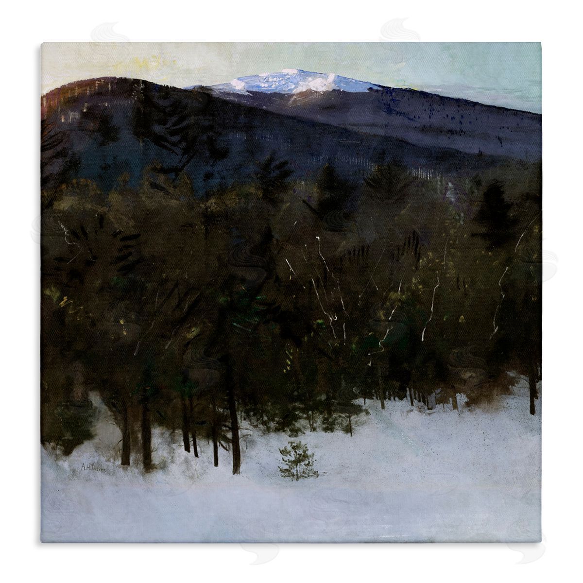 Abbott Handerson Thayer Winter Nature Painting Canvas Wall Art