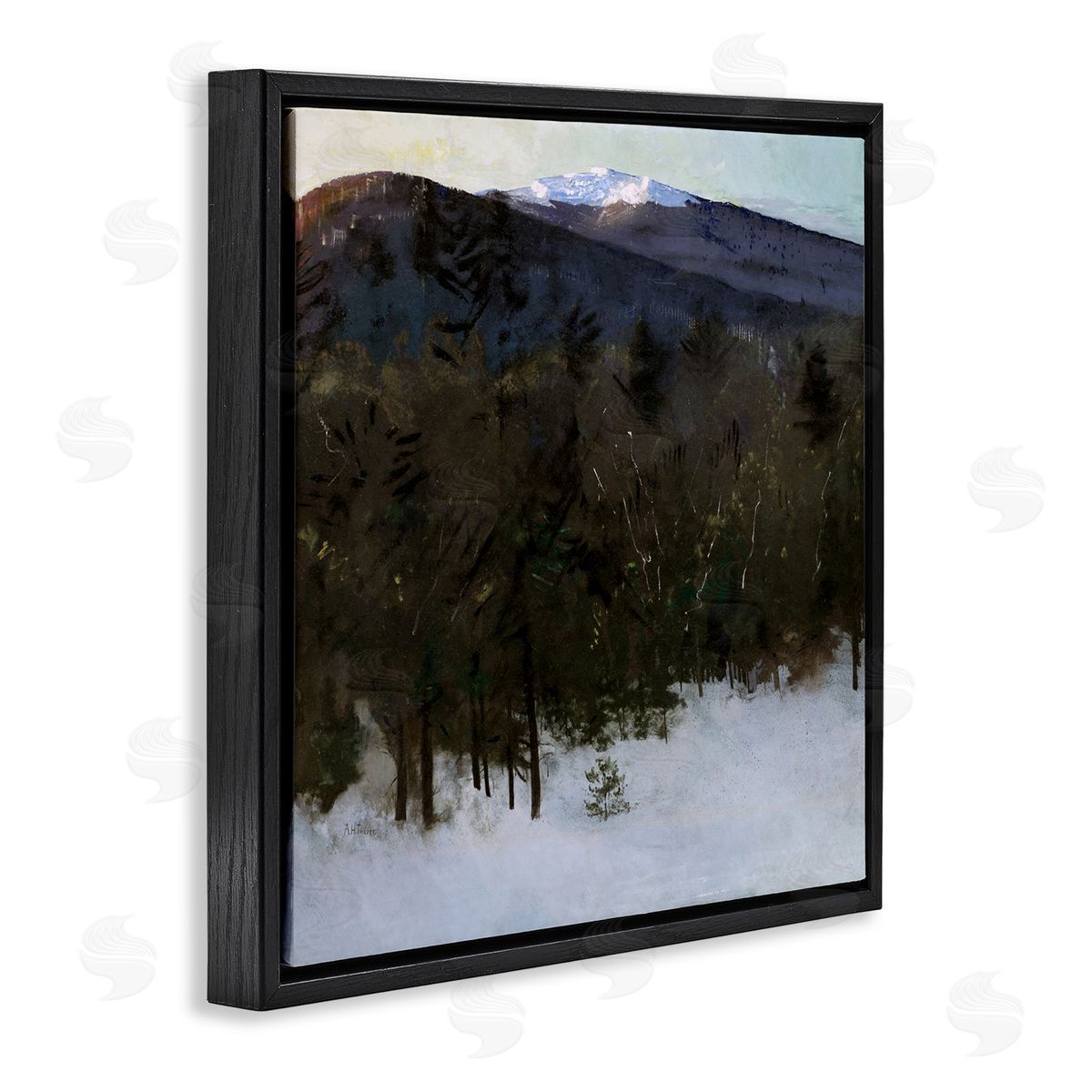 Abbott Handerson Thayer Winter Nature Painting Black Floater Frame Canvas Artside_