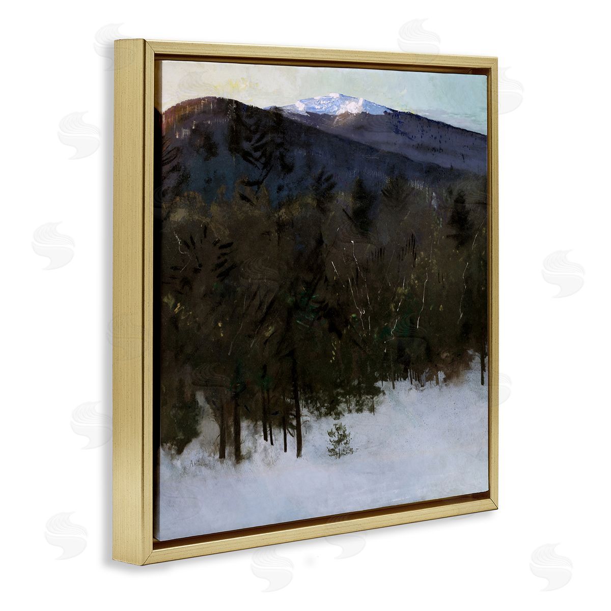 Abbott Handerson Thayer Winter Nature Painting Gold Floater Frame Canvas Artside_