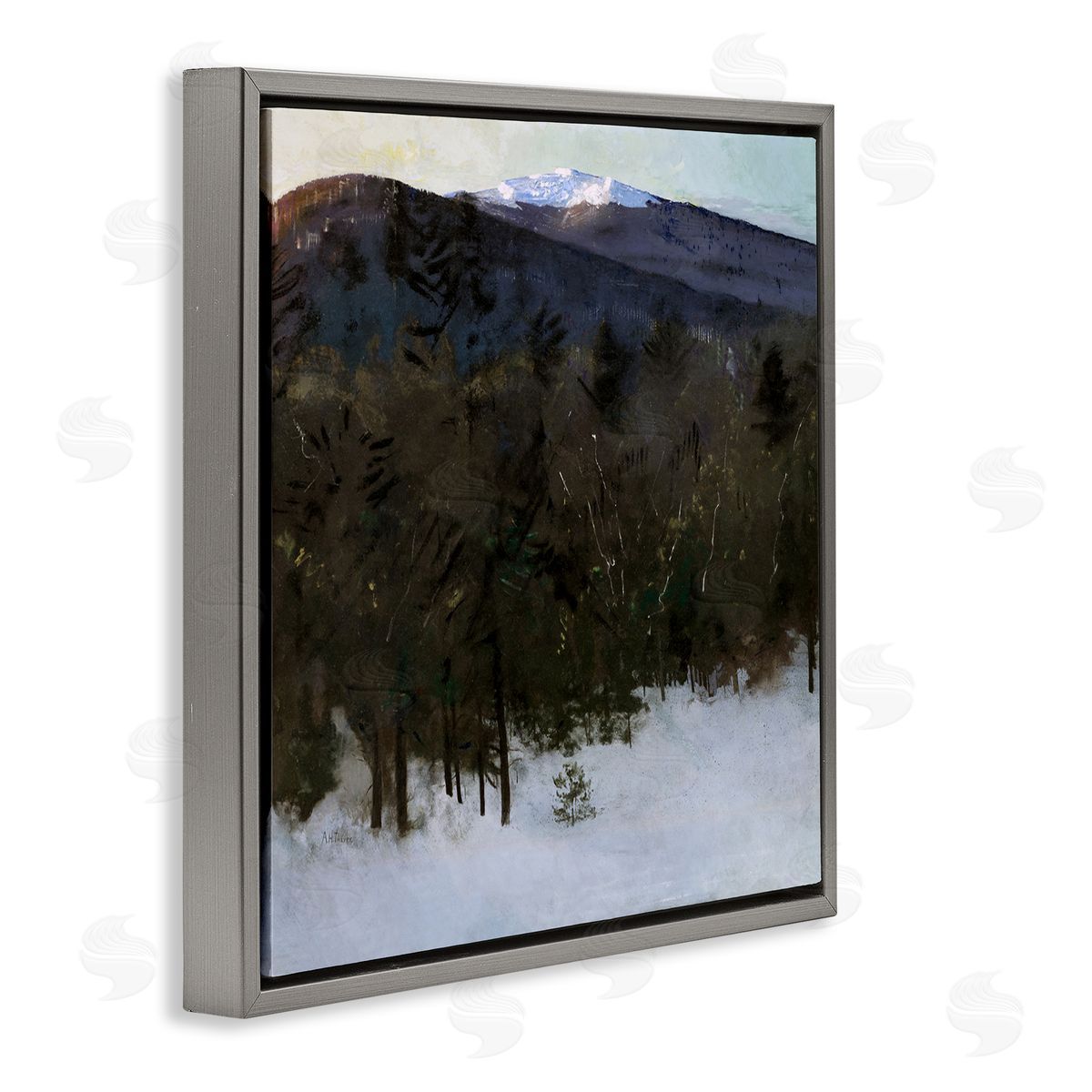 Abbott Handerson Thayer Winter Nature Painting Gray Floater Frame Canvas Artside_